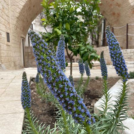 Lamanna House Polignano a Mare Exterior photo