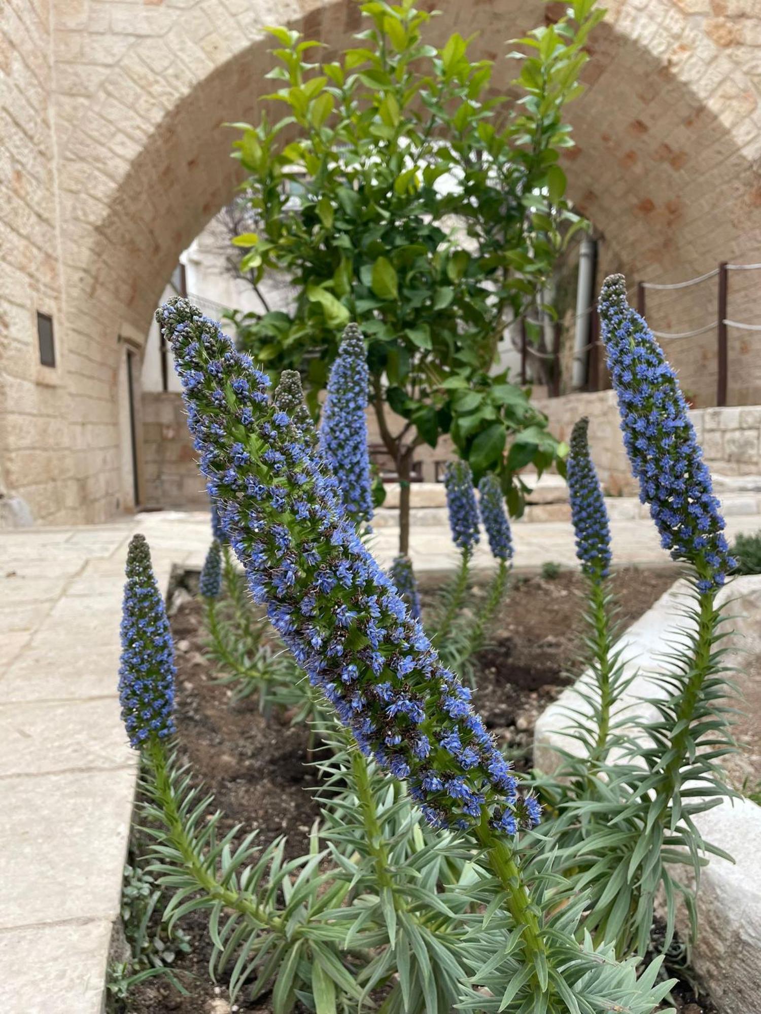 Lamanna House Polignano a Mare Exterior photo